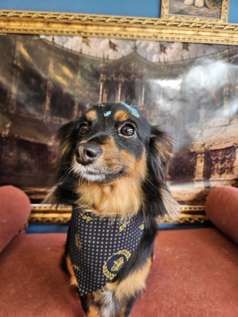 Foto de capa