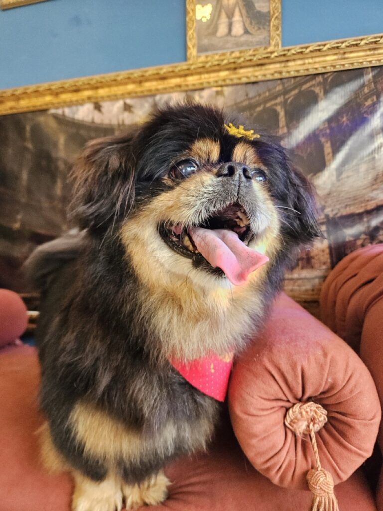Foto de capa