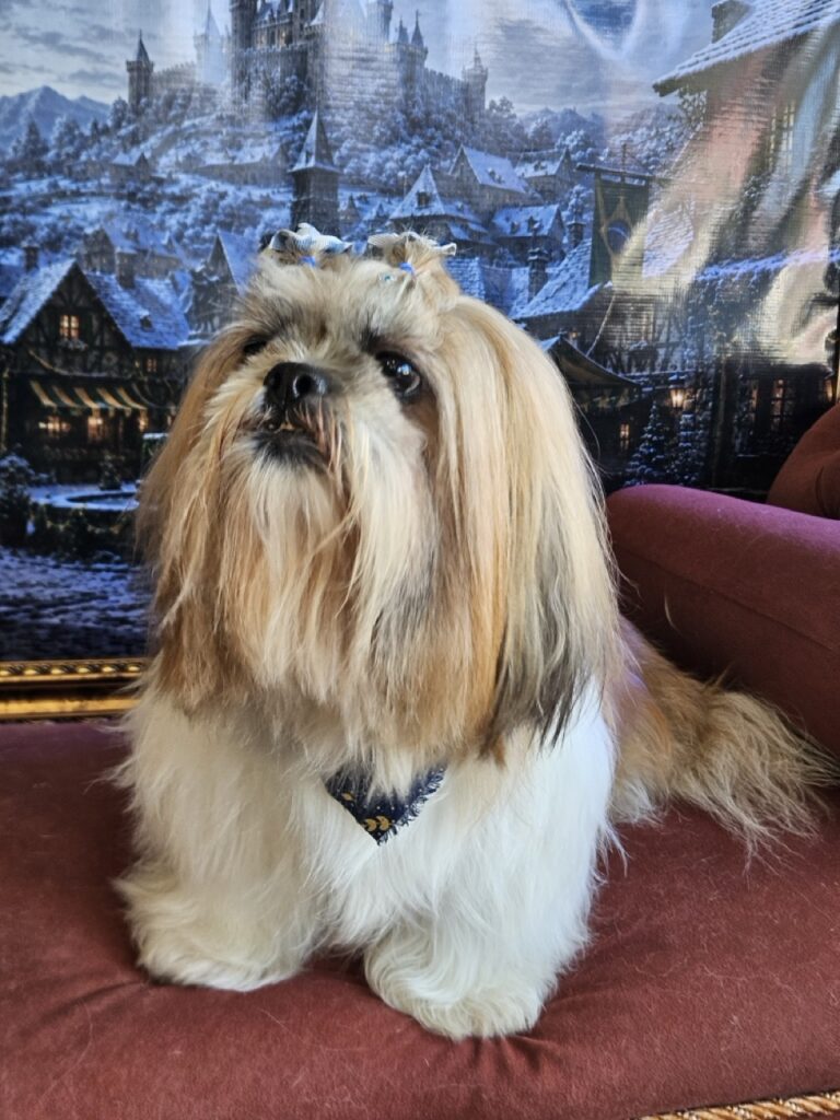 Foto de capa