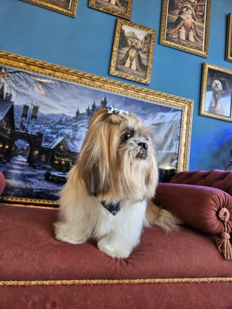 Foto de capa