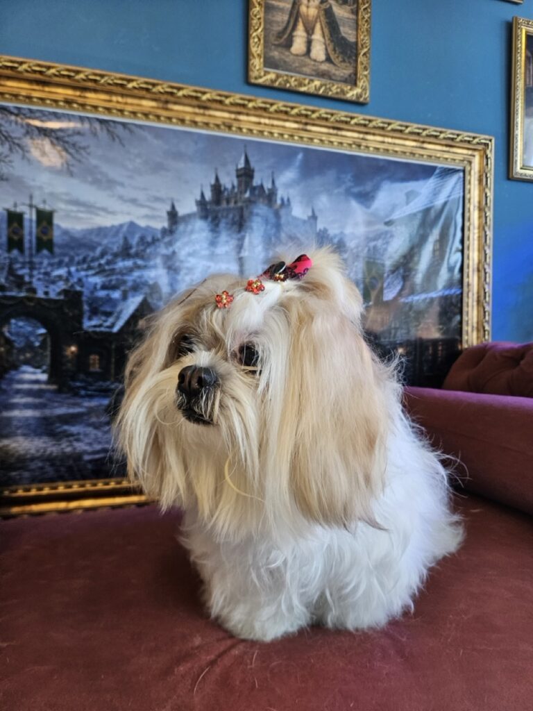 Foto de capa