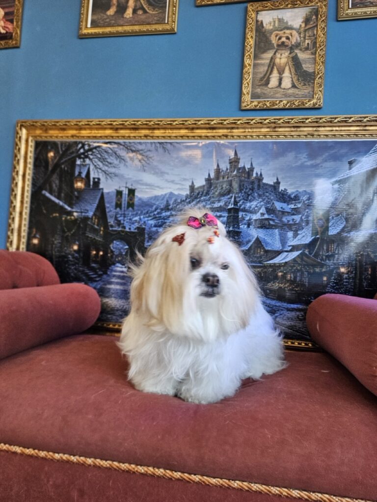 Foto de capa