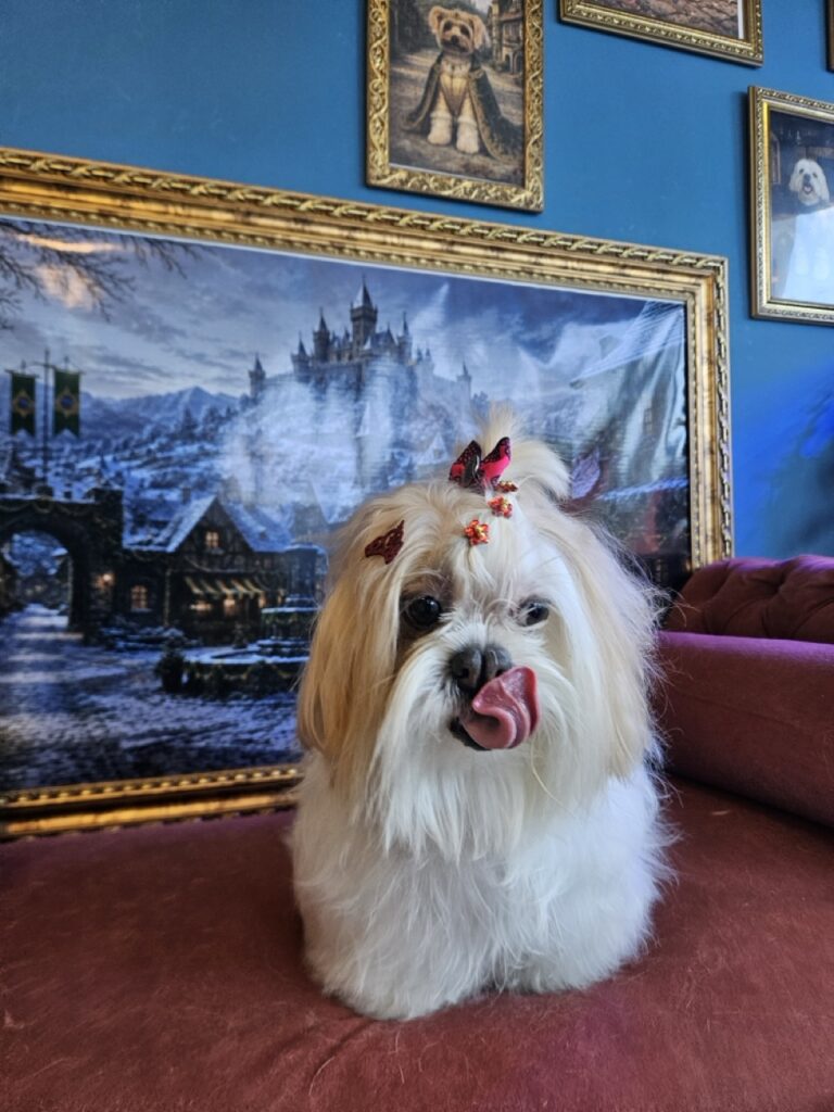 Foto de capa
