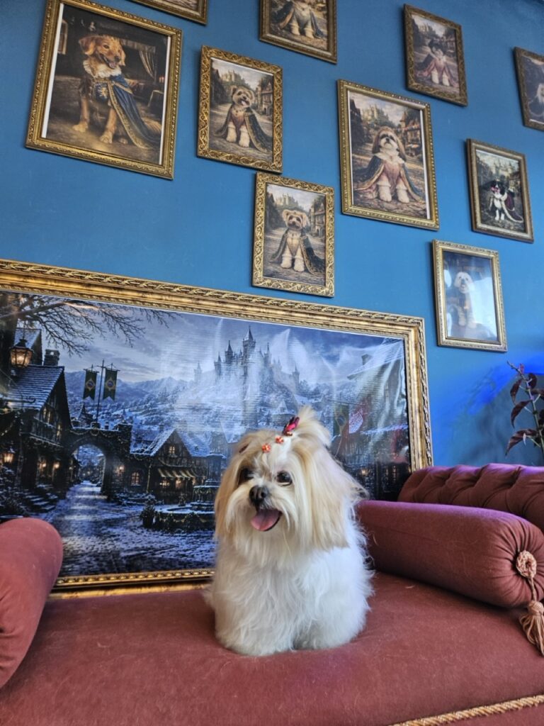 Bibi na Realeza Pets, foto 5