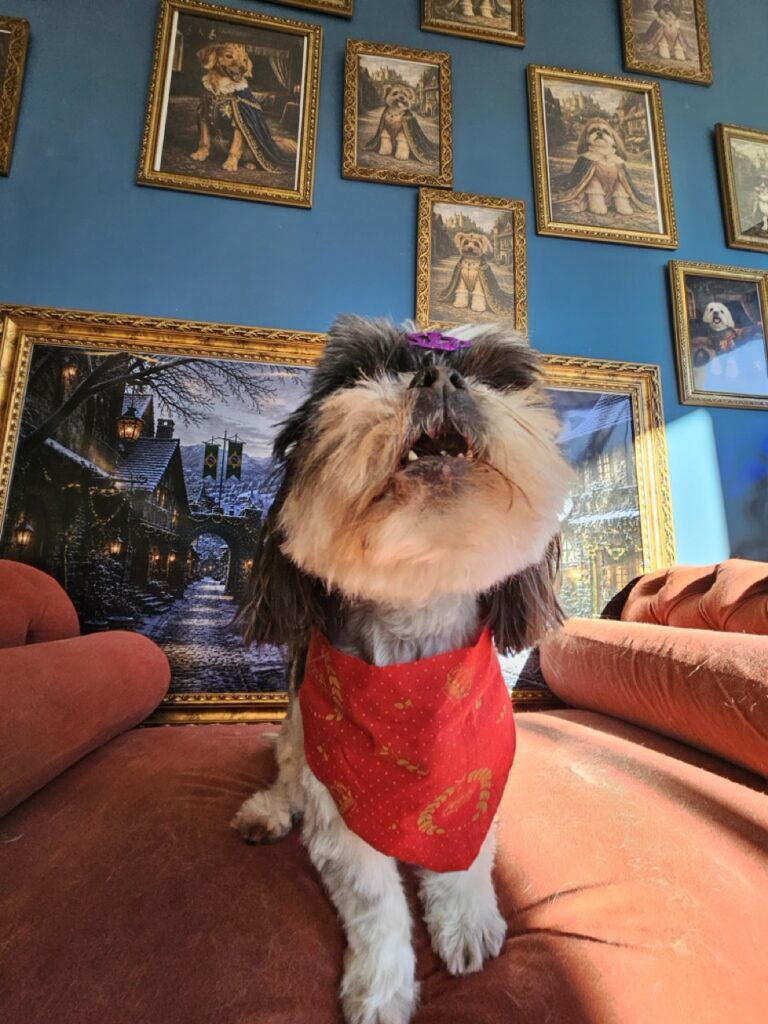 Foto de capa