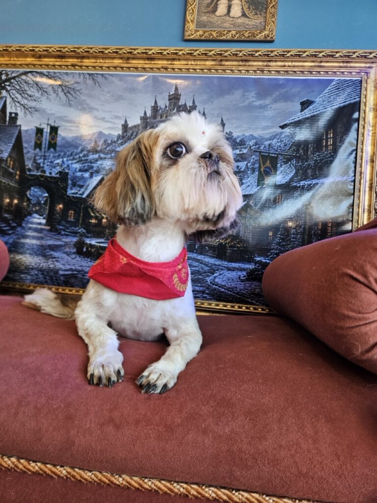 Foto de capa