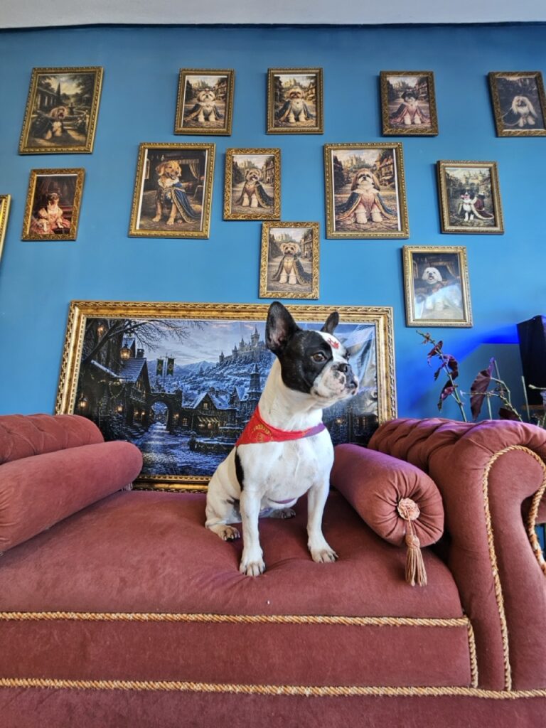 Foto de capa