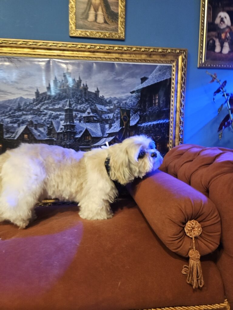Foto de capa