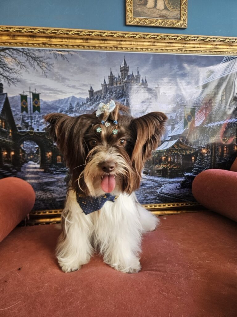 Foto de capa