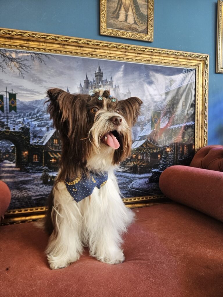 Foto de capa