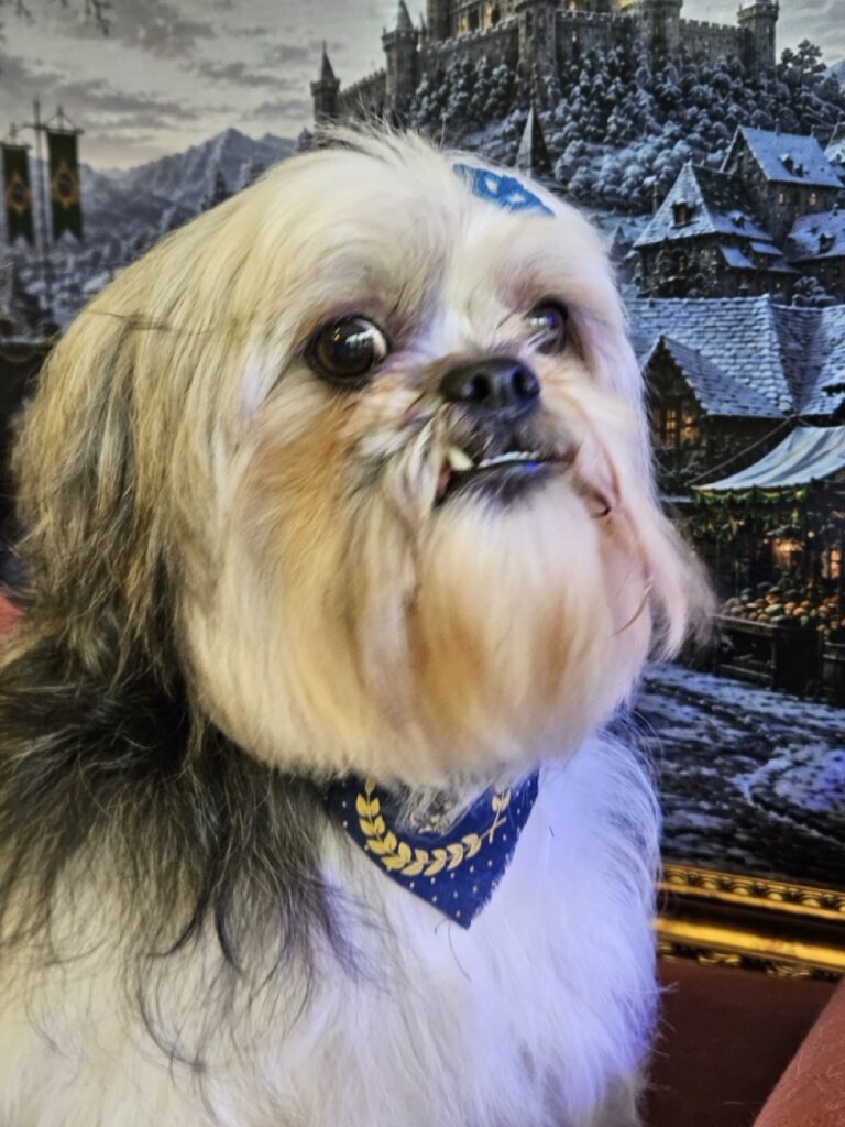 Foto de capa