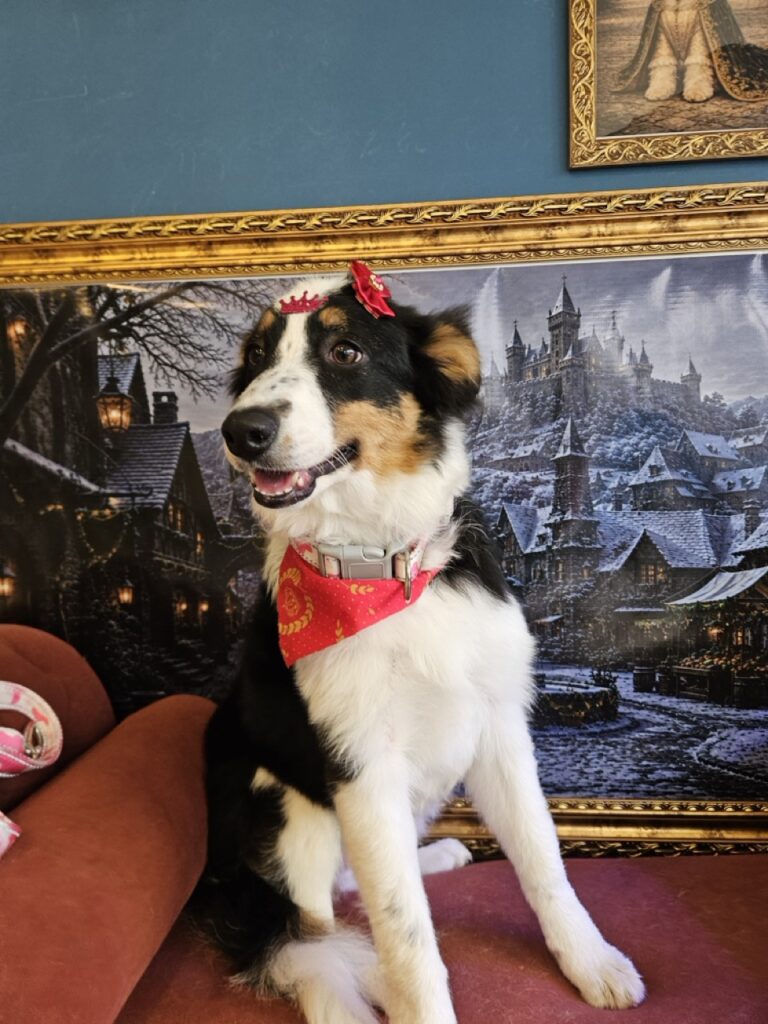 Foto de capa