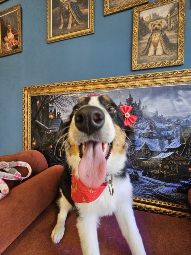Foto de capa