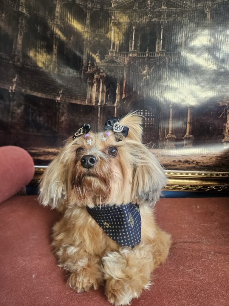 Foto de capa