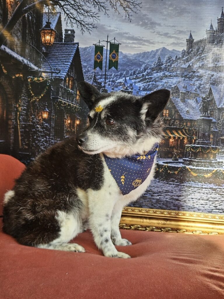 Foto de capa