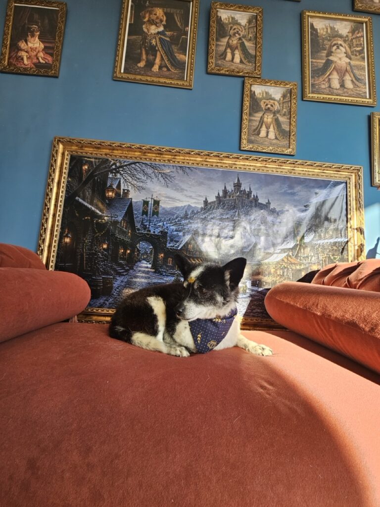 Foto de capa