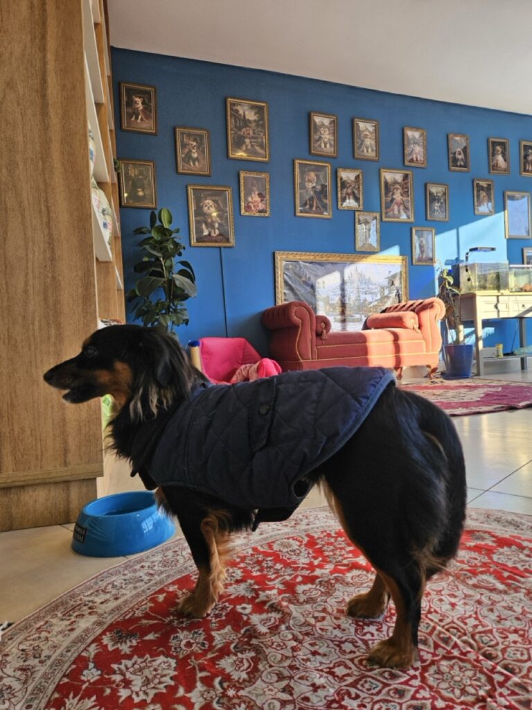 Foto de capa