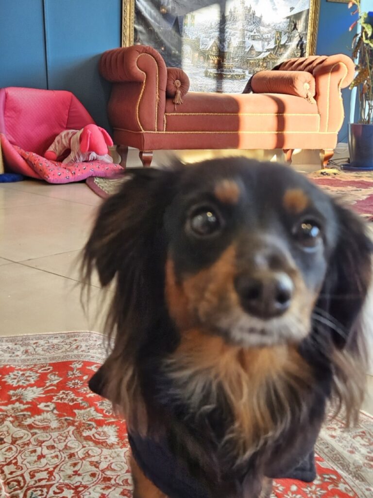 Foto de capa