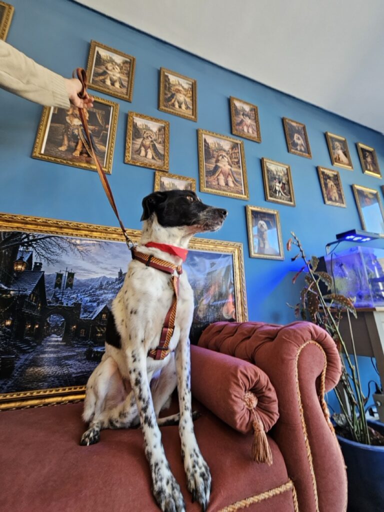 Foto de capa