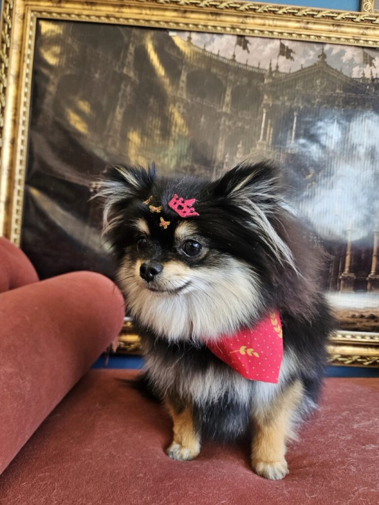 Foto de capa