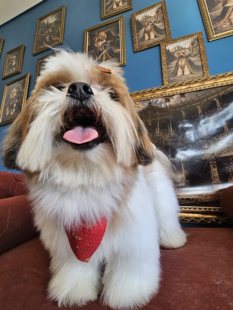 Foto de capa