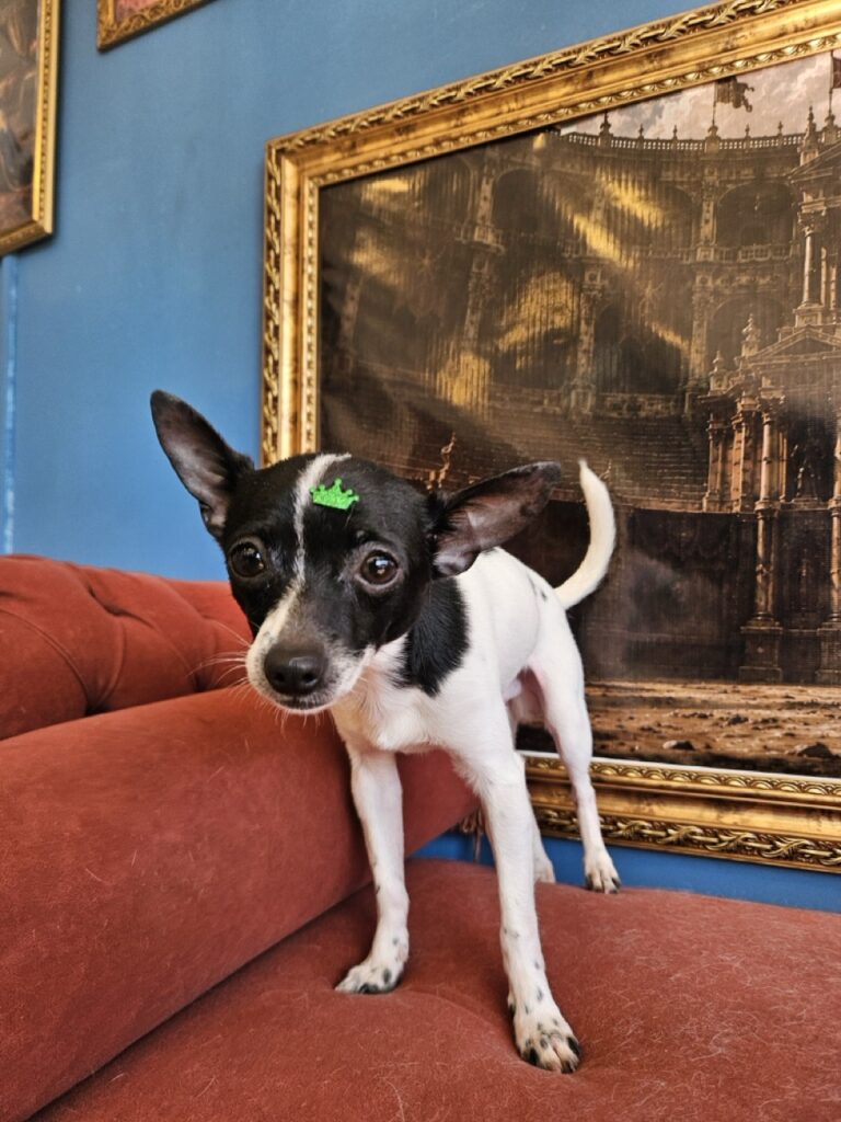 Foto de capa