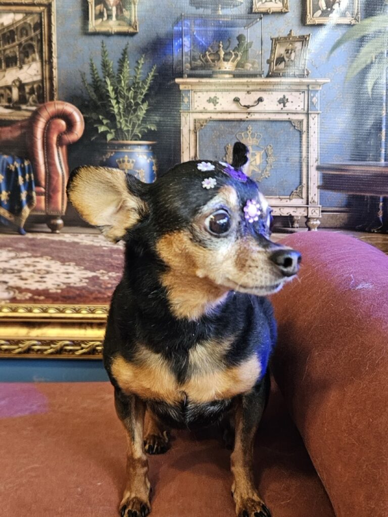 Foto de capa
