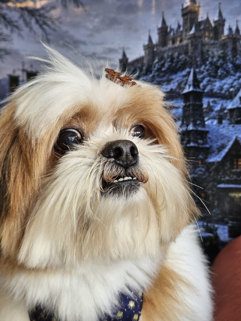 Foto de capa