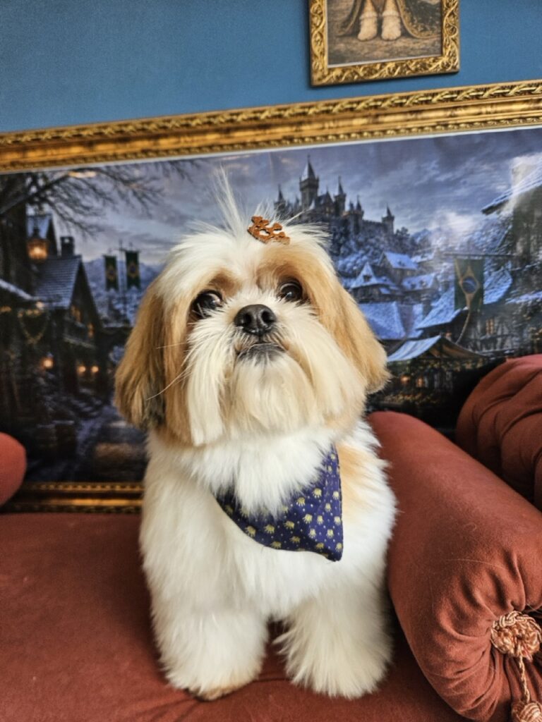 Foto de capa
