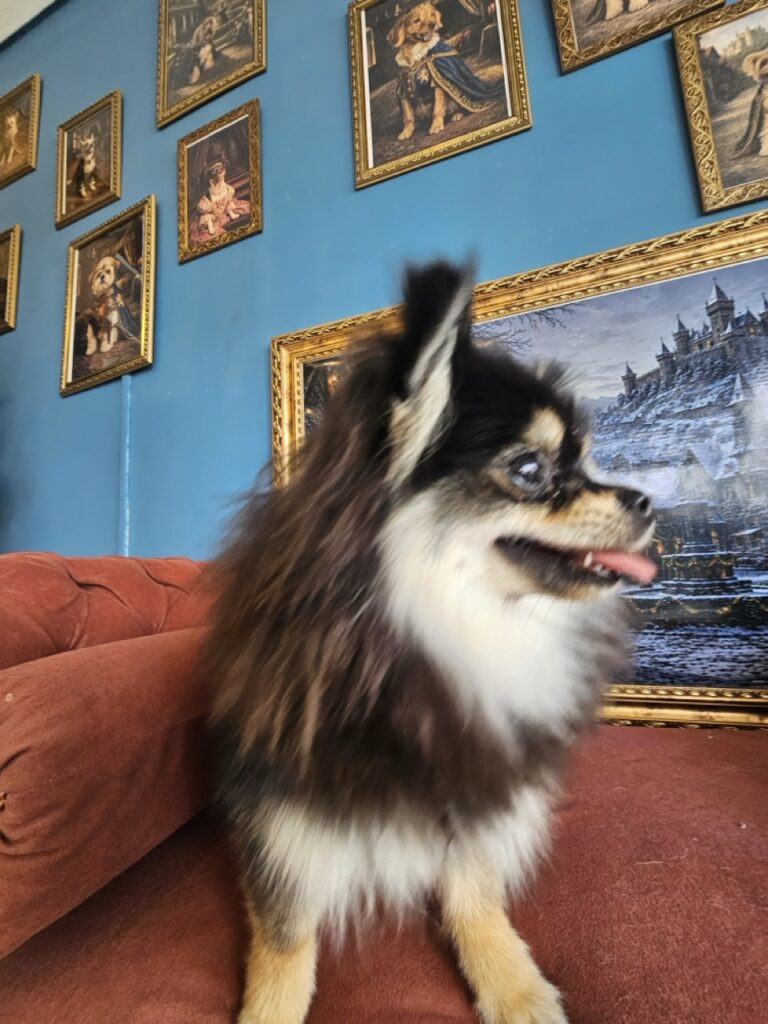 Foto de capa