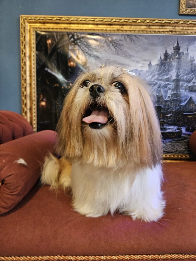 Foto de capa