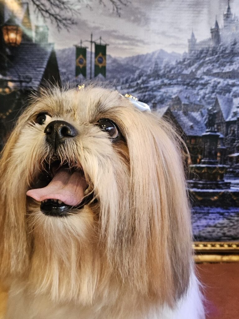 Foto de capa