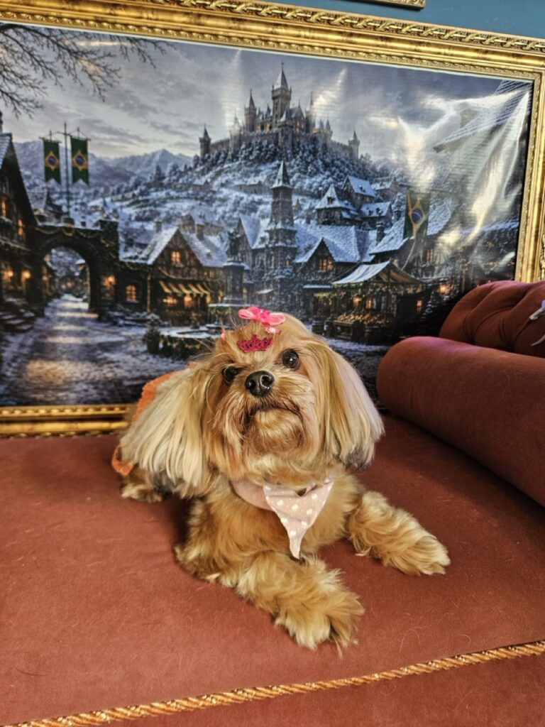 Foto de capa