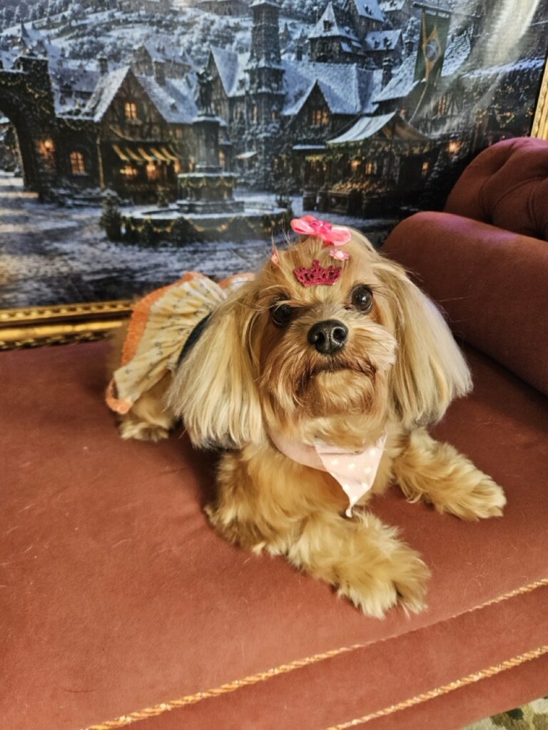 Foto de capa