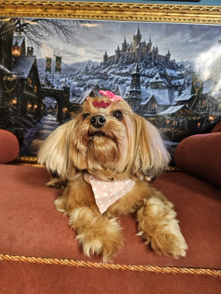 Foto de capa
