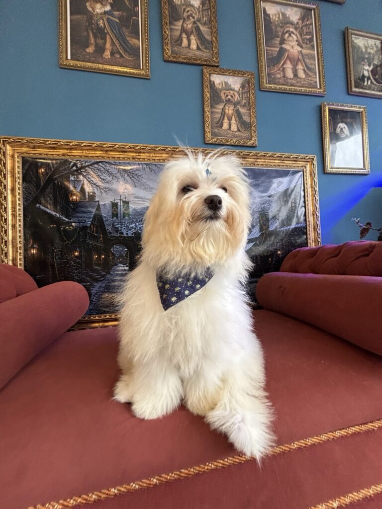 Foto de capa