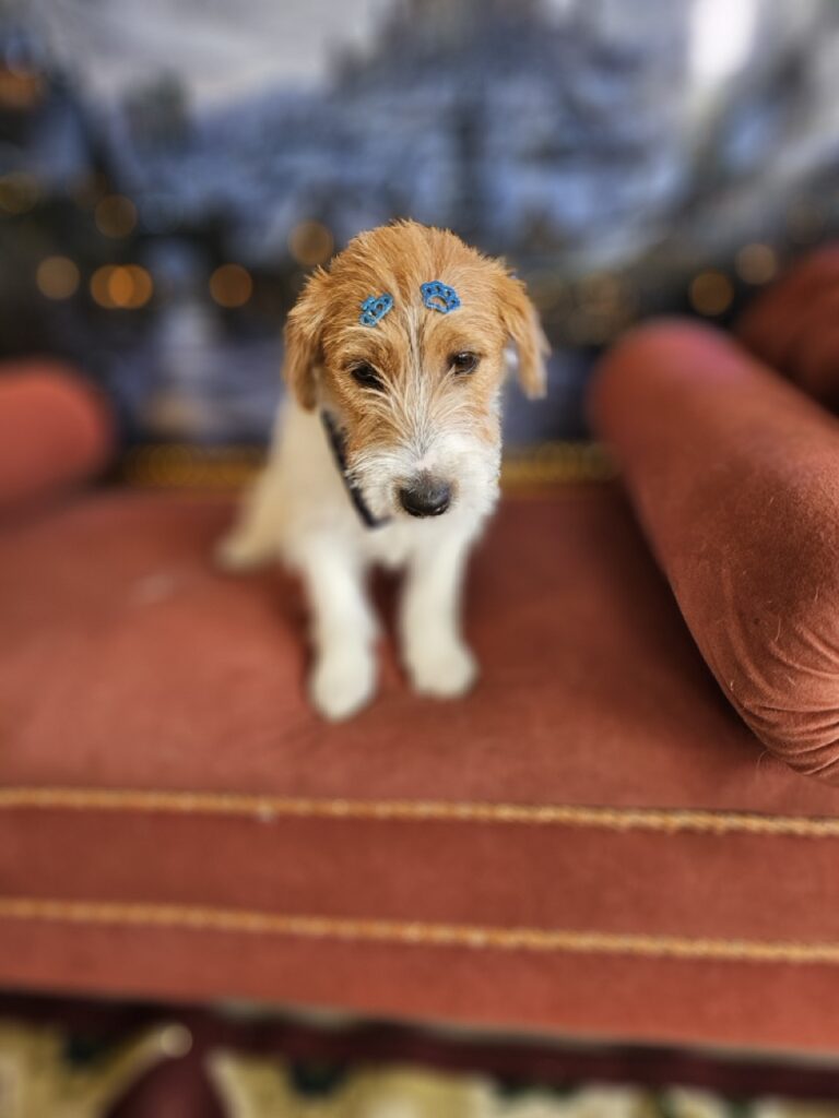 Foto de capa