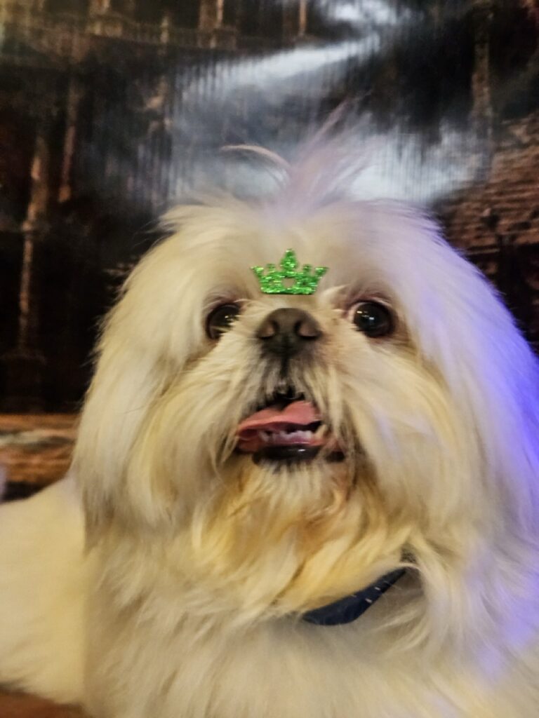 Foto de capa