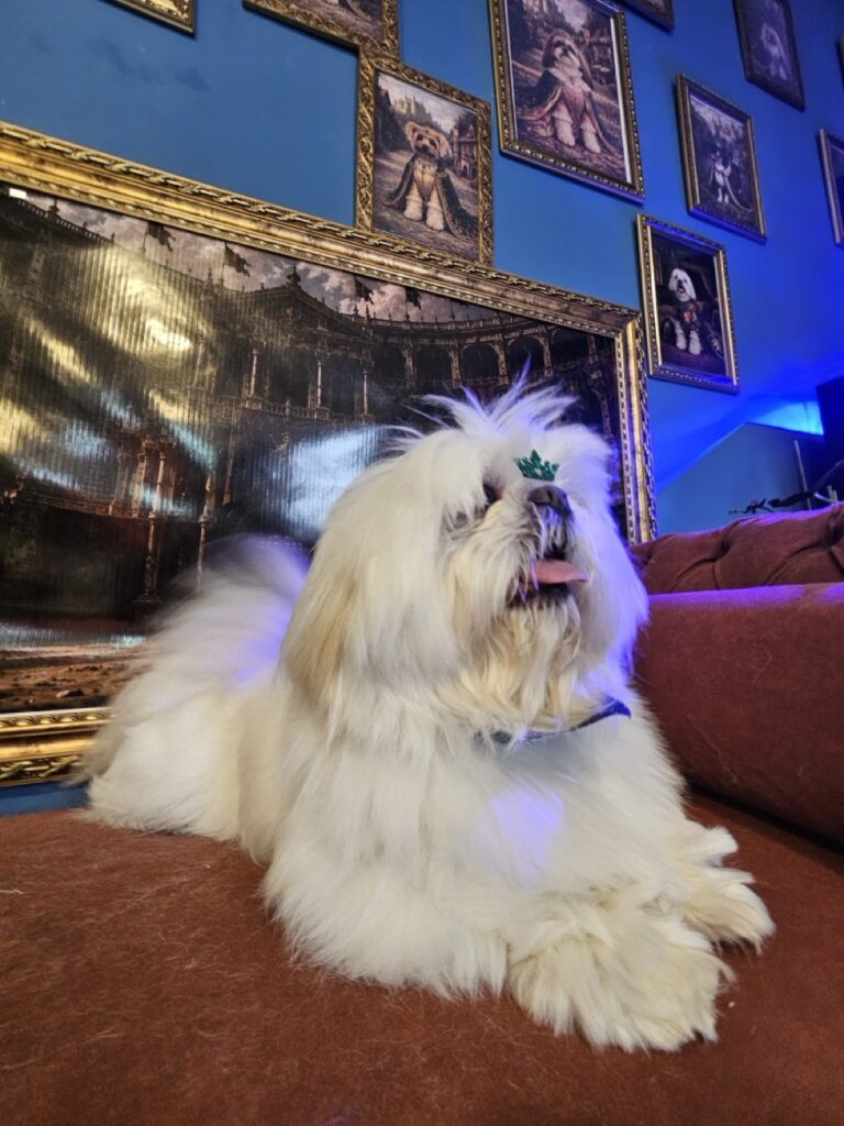 Foto de capa