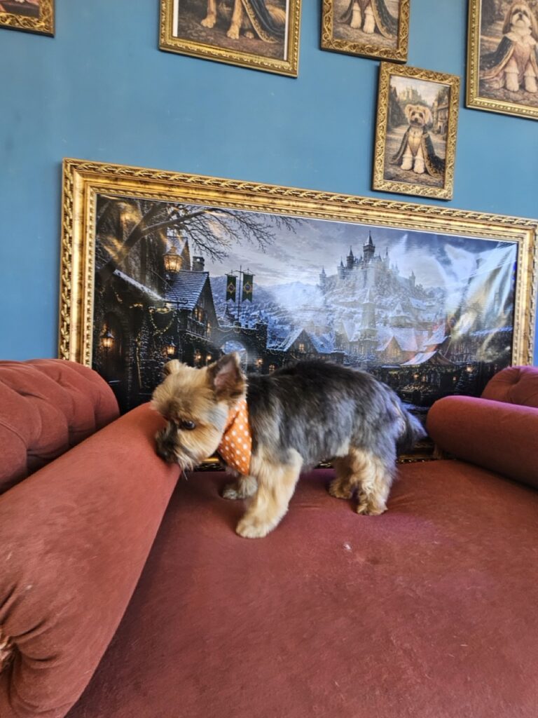 Foto de capa