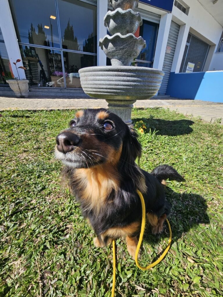 Foto de capa