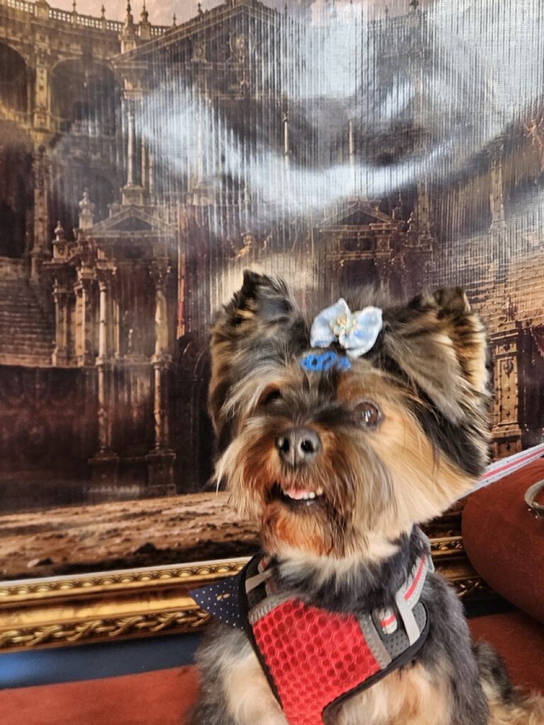 Foto de capa