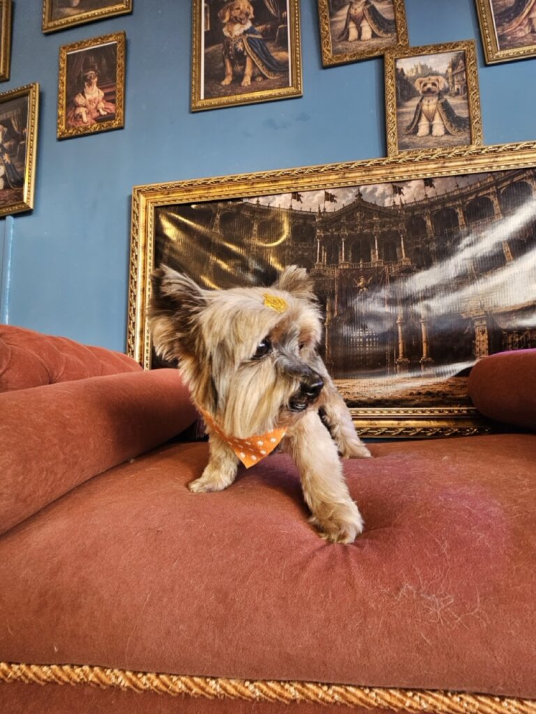 Foto de capa
