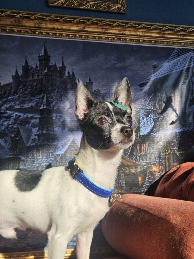 Foto de capa