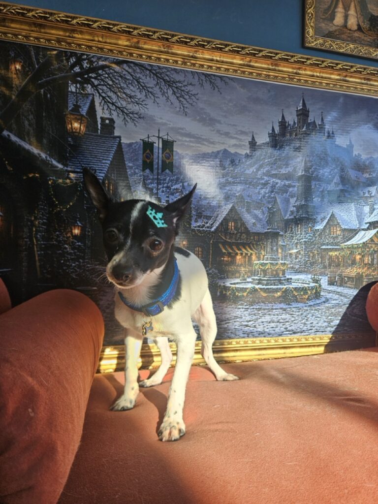 Foto de capa