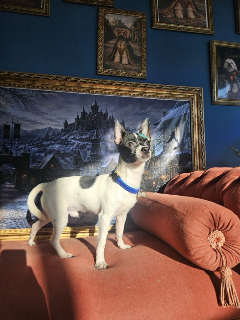Foto de capa