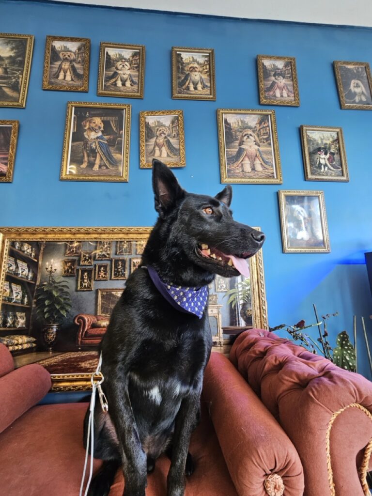 Foto de capa