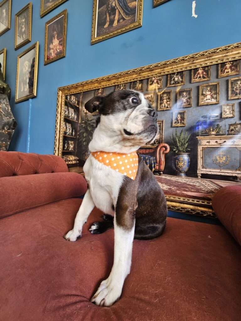 Foto de capa
