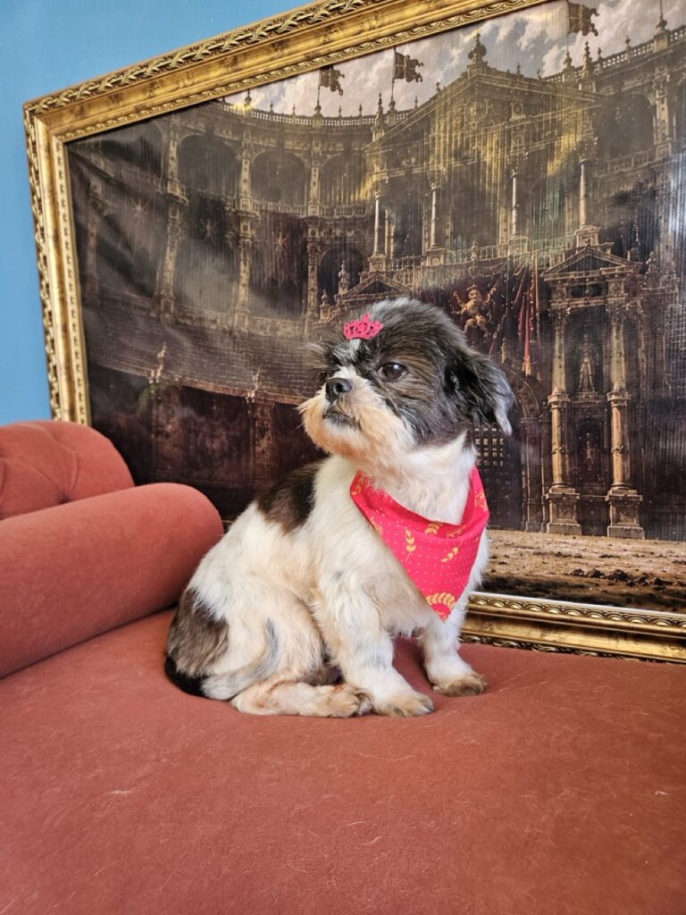 Foto de capa