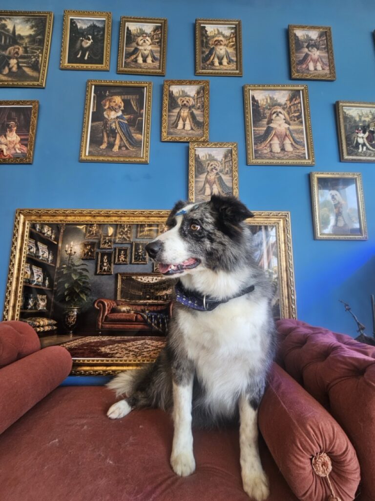 Foto de capa